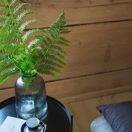 Długopolanka Apartament